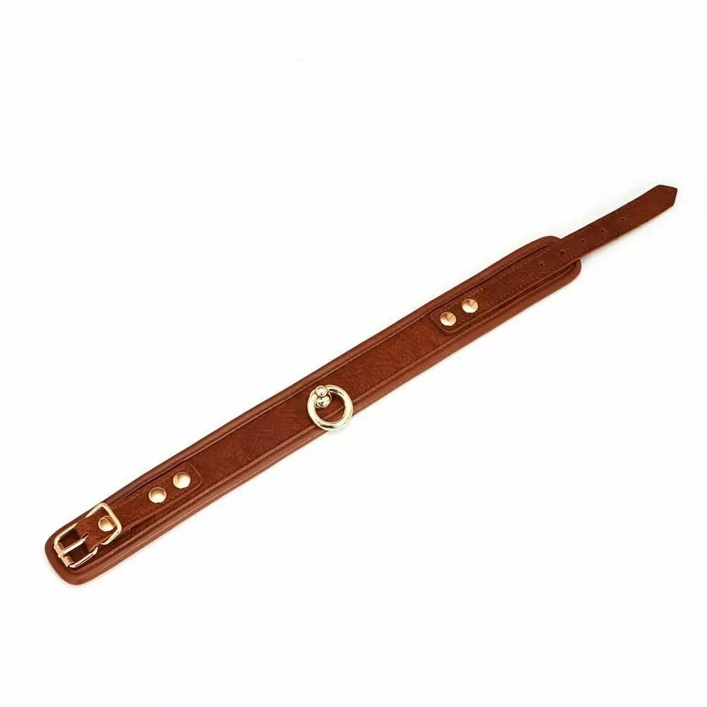 Brown Leather Collar & Leash