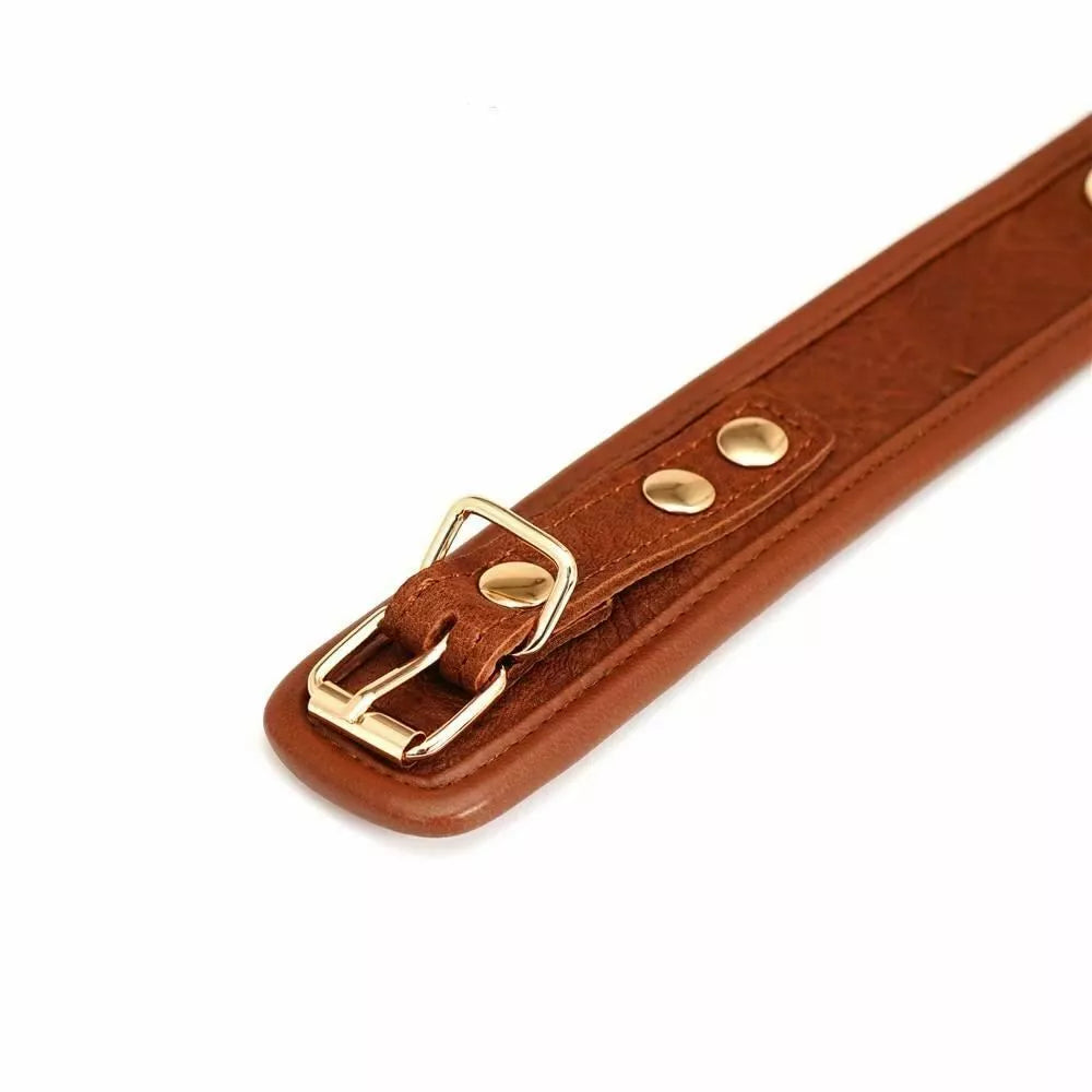 Brown Leather Collar & Leash