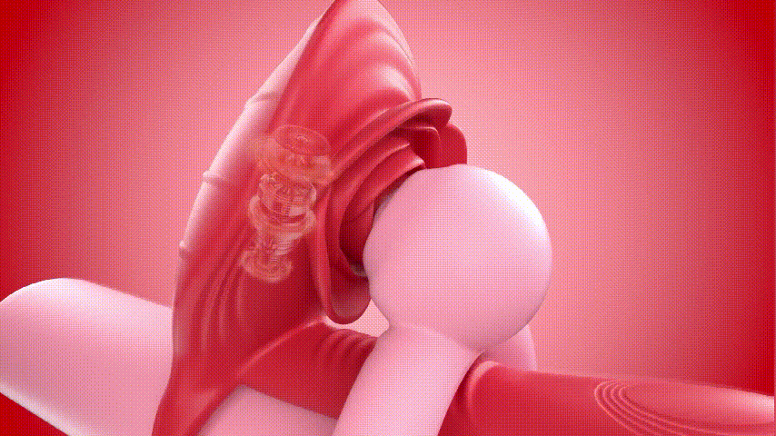 💥2025 New Rose Couple Nighty