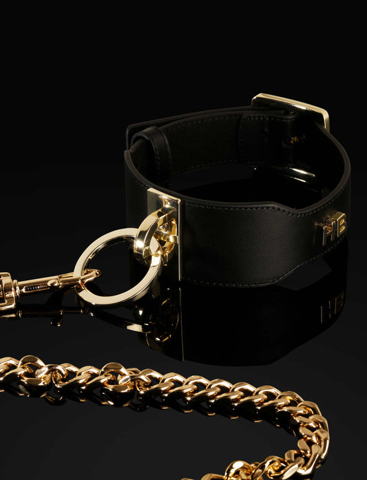 Leather Collar