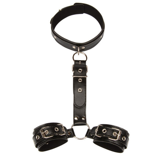 Neck to Wrist Back-Cuff Restraint